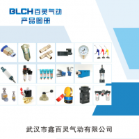武漢百靈氣動(dòng)歡迎您！